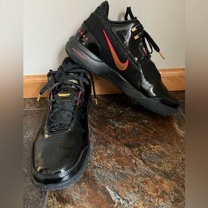 Nike Zoom LeBron NXXT Gen AMPD low cut basketball shoe.Black red gold. Size 10.5